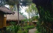 Туры в отель Rinjani Beach Eco Resort