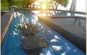 Туры в отель Rinjani Beach Eco Resort