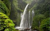 Туры в отель Rinjani Beach Eco Resort