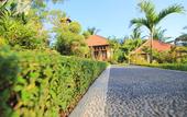 Туры в отель Villa Capung Mas