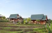 Туры в отель Ti Amo Bali