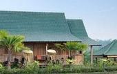 Туры в отель Ti Amo Bali