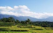Туры в отель Ti Amo Bali