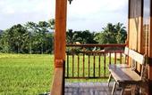 Туры в отель Ti Amo Bali
