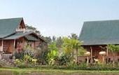Туры в отель Ti Amo Bali