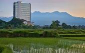 Туры в отель Lombok Astoria Hotel