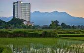 Туры в отель Lombok Astoria Hotel