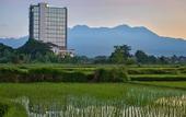 Туры в отель Lombok Astoria Hotel