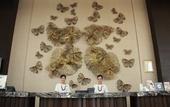 Туры в отель Lombok Astoria Hotel