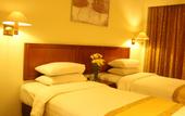 Туры в отель Bumi Wiyata Hotel