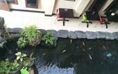 Туры в отель Maktal Hotel Mataram