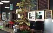 Туры в отель Maktal Hotel Mataram