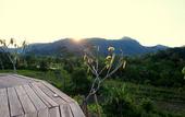 Туры в отель Beji Ayu Villas Sidemen