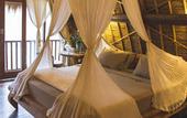 Туры в отель Sandat Glamping Tents