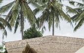 Туры в отель Sandat Glamping Tents