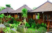 Туры в отель Dmas Huts Lembongan