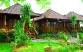 Туры в отель Dmas Huts Lembongan