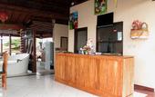Туры в отель Dmas Huts Lembongan