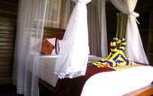 Туры в отель Dmas Huts Lembongan