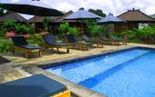 Туры в отель Dmas Huts Lembongan