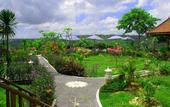 Туры в отель Dmas Huts Lembongan