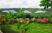 Туры в отель Dmas Huts Lembongan
