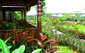 Туры в отель Dmas Huts Lembongan