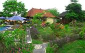 Туры в отель Dmas Huts Lembongan