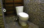 Туры в отель Dmas Huts Lembongan