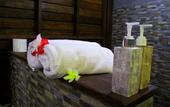 Туры в отель Dmas Huts Lembongan