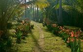 Туры в отель Mutiara Beach Resort