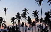 Туры в отель Mutiara Beach Resort
