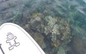 Туры в отель Mutiara Beach Resort