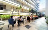 Туры в отель Clove Hotel