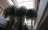 Туры в отель The Cherry Homes Hotel and Residence