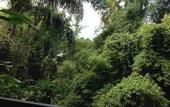 Туры в отель Suastika Bed and Breakfast