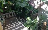 Туры в отель Suastika Bed and Breakfast