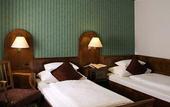 Туры в отель Mercure Grand Hotel Biedermeier Wien
