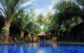 Туры в отель Coconut Boutique Resort