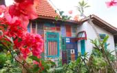 Туры в отель Janur Bungalow