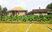 Туры в отель Janur Bungalow