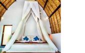 Туры в отель Bintang Bungalow