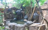 Туры в отель Bulan Bali Homestay