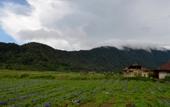 Туры в отель Dajan Buyan Homestay