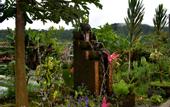 Туры в отель Dajan Buyan Homestay
