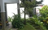 Туры в отель Hotel Minahasa
