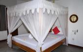 Туры в отель Joje Bungalow
