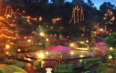 Туры в отель Gracia Spa Resort Hotel