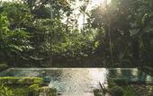 Туры в отель Luxury A Priori Ubud