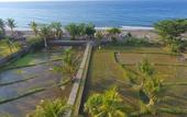 Туры в отель Villa Taman Padi